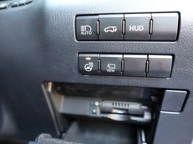 Lexus RX 2020-03 3919-19