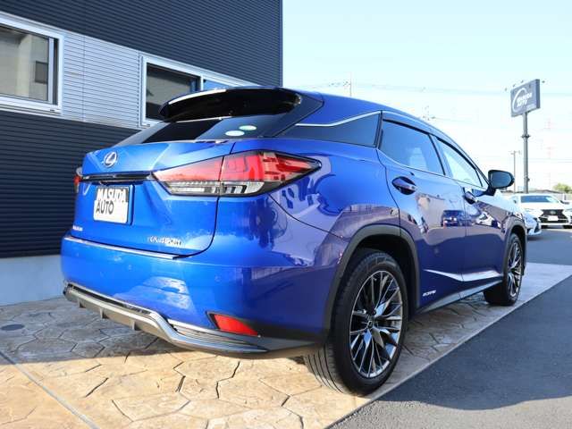 Lexus RX 2020-03 3919-6