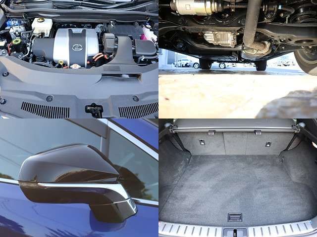 Lexus RX 2020-03 3919-27