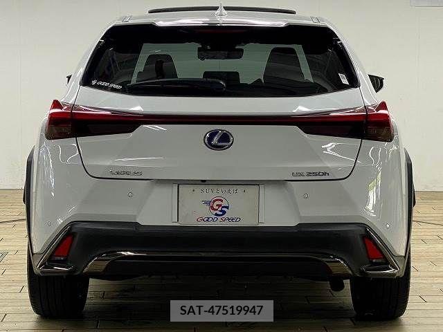 Lexus UX 2020-10 313521-18
