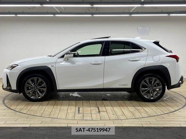 Lexus UX 2020-10 313521-17