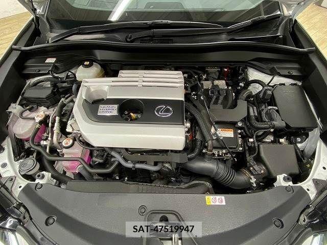 Lexus UX 2020-10 313521-14