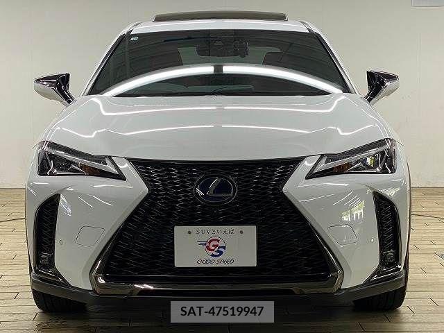 Lexus UX 2020-10 313521-16