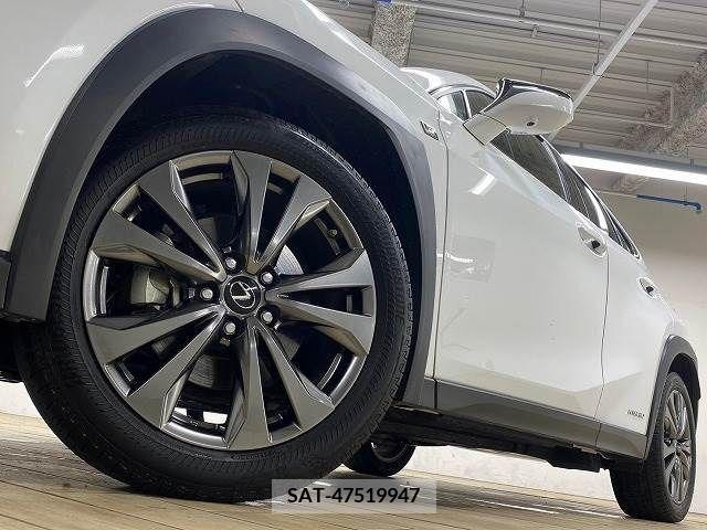 Lexus UX 2020-10 313521-12