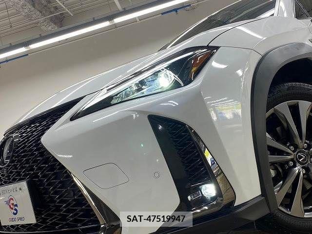 Lexus UX 2020-10 313521-11