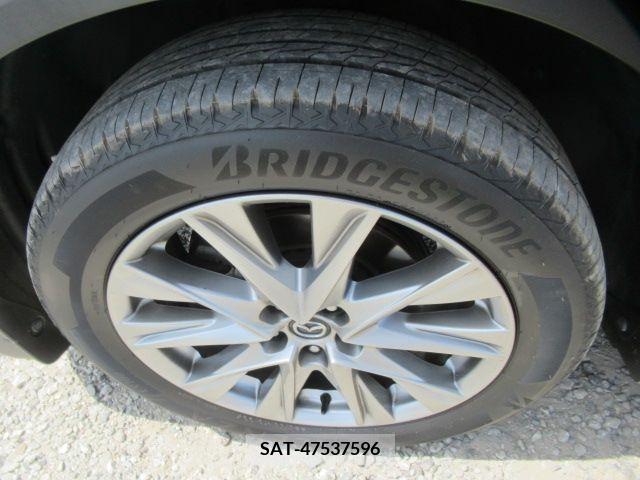 Mazda CX-8 2018-03 343130-2