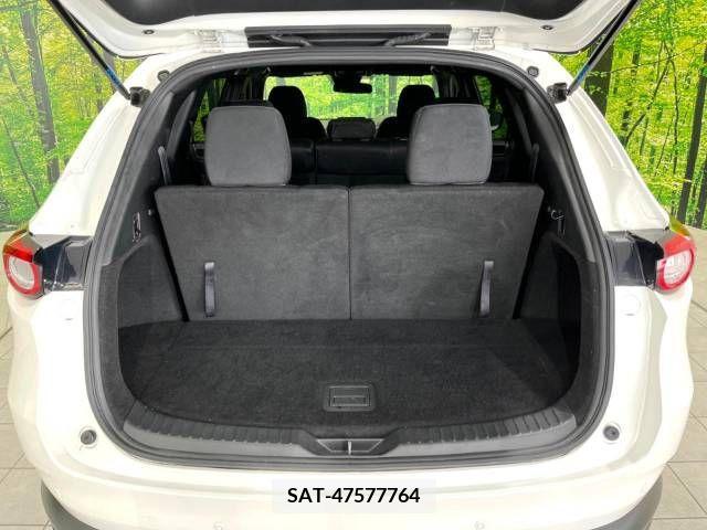 Mazda CX-8 2018-01 296577-11