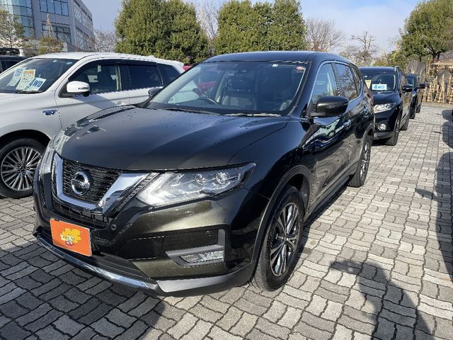 Nissan X-TRAIL 2019-03 196319-0