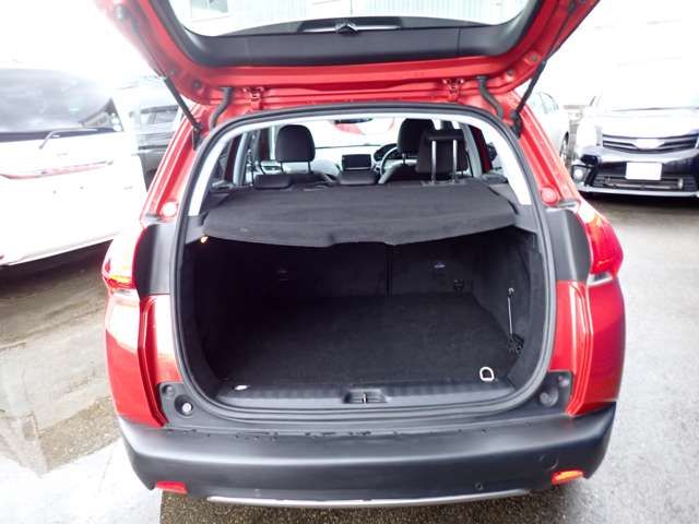 Peugeot 2008 2016-03 914-5