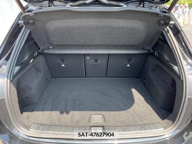 Amg A-Class 2022-10 356062-12