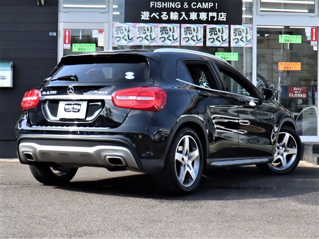 Mercedes Benz GLA-CLASS 2014-01 22671-24