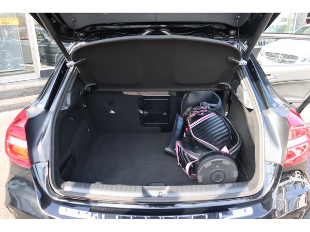 Mercedes Benz GLA-CLASS 2014-01 22671-21