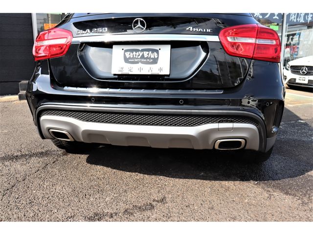 Mercedes Benz GLA-CLASS 2014-01 22671-17