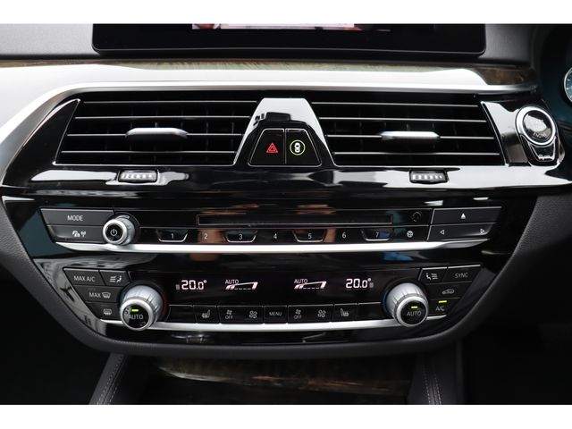 Bmw 5 SERIES 2017-01 13424-12