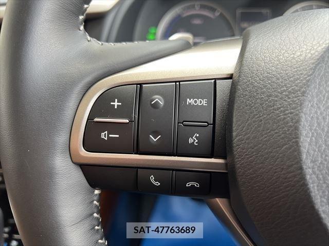 Lexus RX 2022-01 334445-26