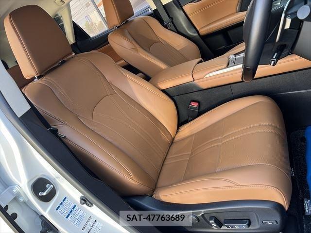 Lexus RX 2022-01 334445-11