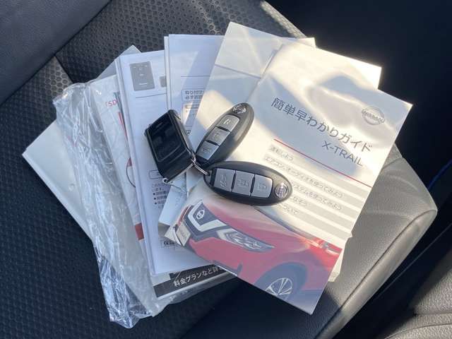 Nissan X-TRAIL 2019-03 7696-18