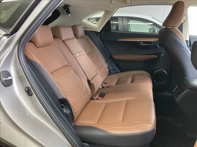 Lexus NX 2014-09 8883-12