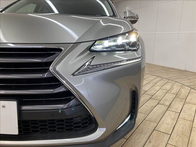 Lexus NX 2014-09 8883-18