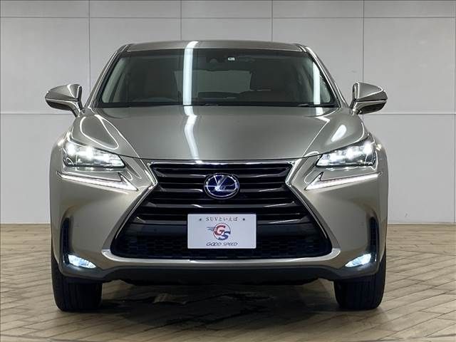 Lexus NX 2014-09 8883-2