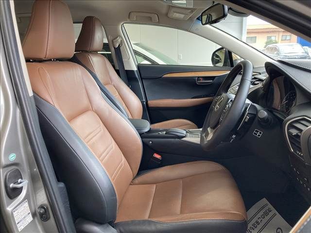 Lexus NX 2014-09 8883-11