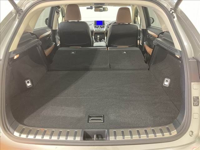 Lexus NX 2014-09 8883-13