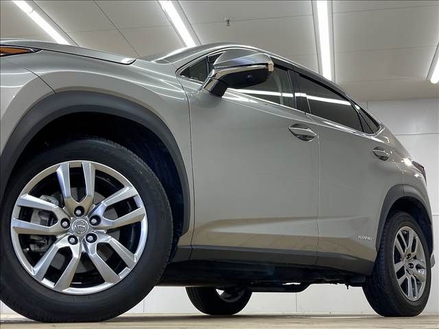 Lexus NX 2014-09 8883-19