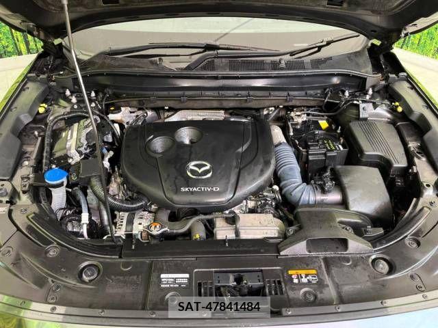 Mazda CX-8 2020-02 296571-19