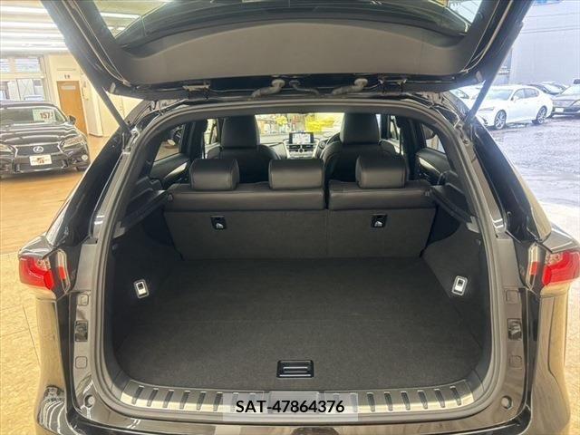Lexus NX 2015-06 299724-8