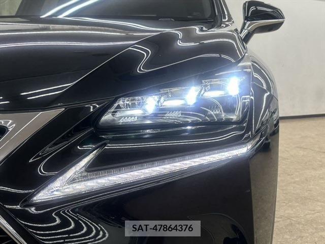 Lexus NX 2015-06 299724-10