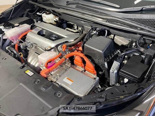 Lexus NX 2020-01 334407-19