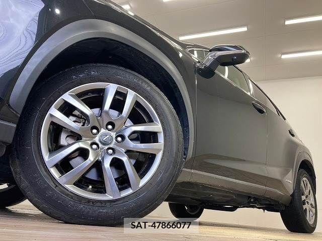 Lexus NX 2020-01 334407-18