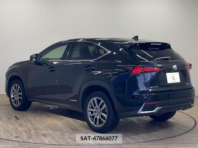 Lexus NX 2020-01 334407-16