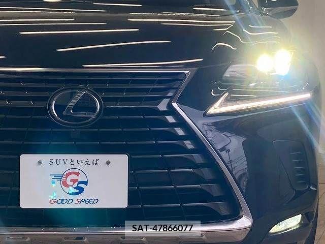 Lexus NX 2020-01 334407-17