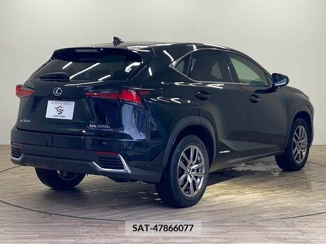 Lexus NX 2020-01 334407-15