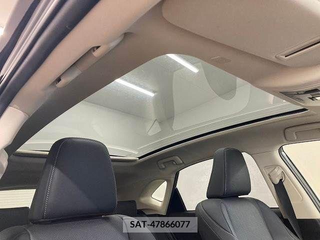 Lexus NX 2020-01 334407-4