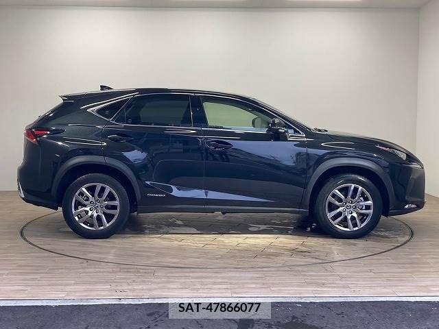 Lexus NX 2020-01 334407-14