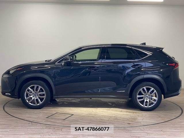 Lexus NX 2020-01 334407-13