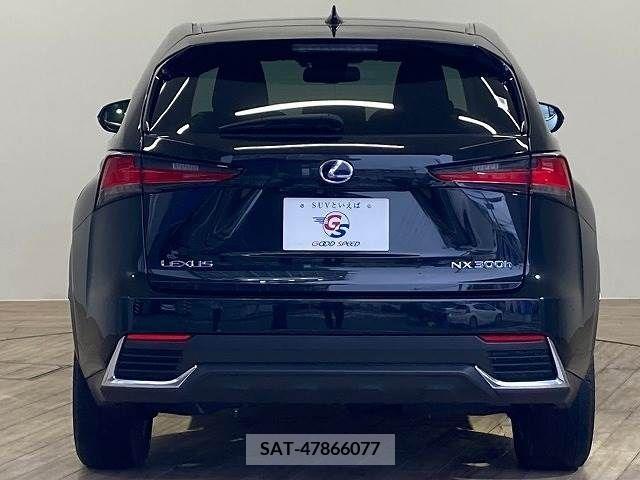 Lexus NX 2020-01 334407-12