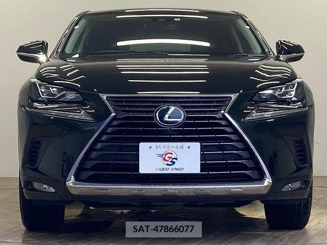 Lexus NX 2020-01 334407-11
