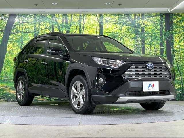 Toyota RAV4 2019-05 17106-16