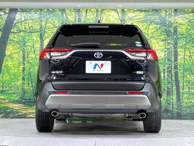 Toyota RAV4 2019-05 17106-15