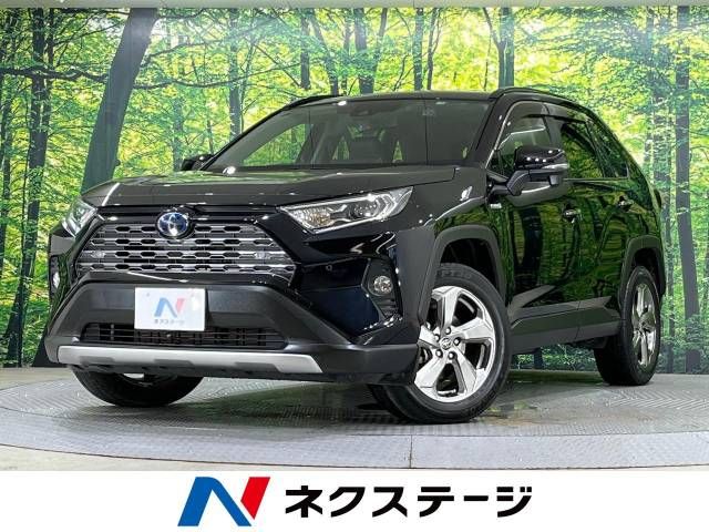 Toyota RAV4 2019-05 17106-0