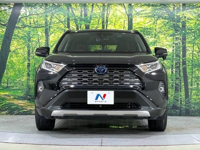 Toyota RAV4 2019-05 17106-14