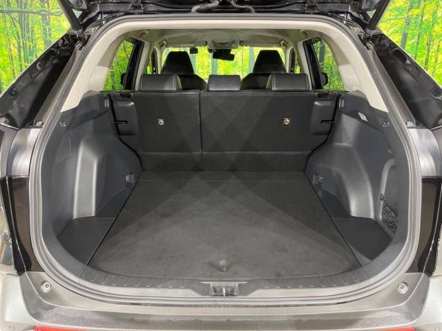 Toyota RAV4 2019-05 17106-10
