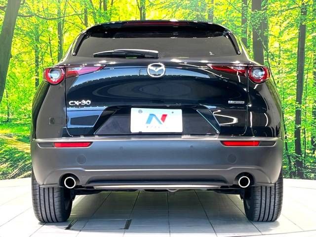 Mazda CX-30 2023-03 188585-18