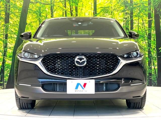 Mazda CX-30 2023-03 188585-17