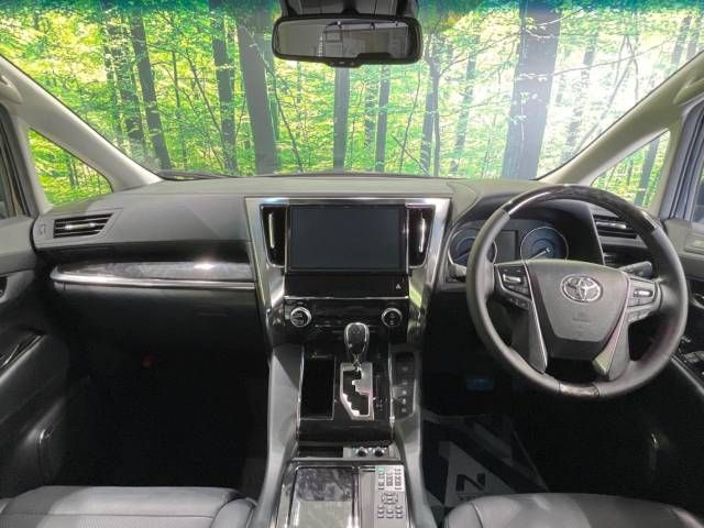 Toyota VELLFIRE 2019-02 196688-1