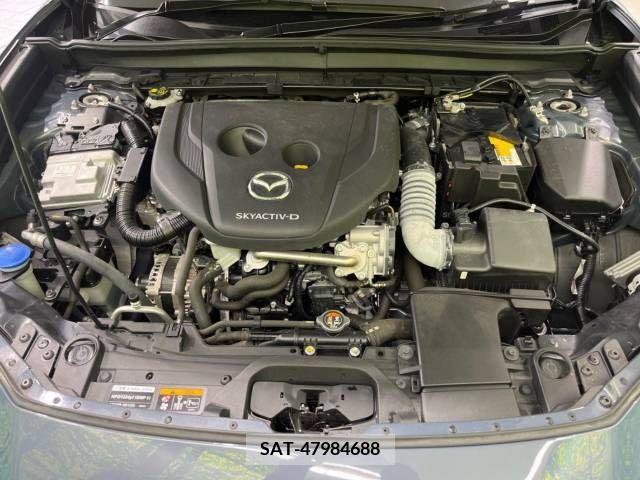 Mazda CX-30 2020-03 265629-18