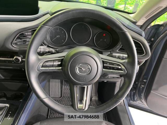 Mazda CX-30 2020-03 265629-11